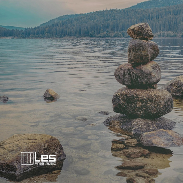 Обкладинка: Calming — Lesfm