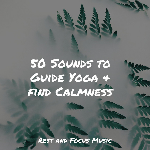 50 Sounds to Guide Yoga & find Calmness - Album by Wellness | Spotify