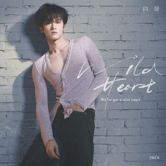 風林火山 Volt earnest hearts