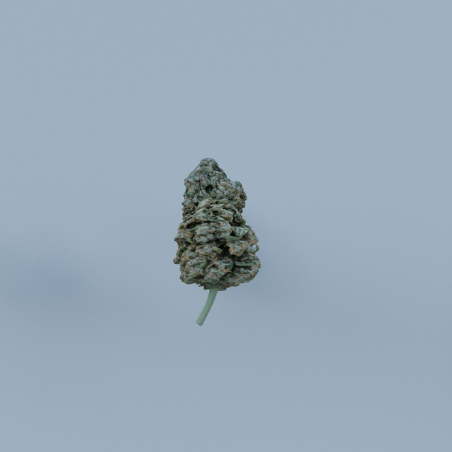 jazz cabbage cover art