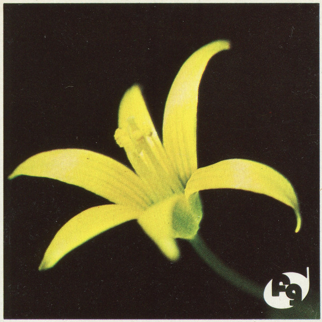 Missa Misericordiae cover art