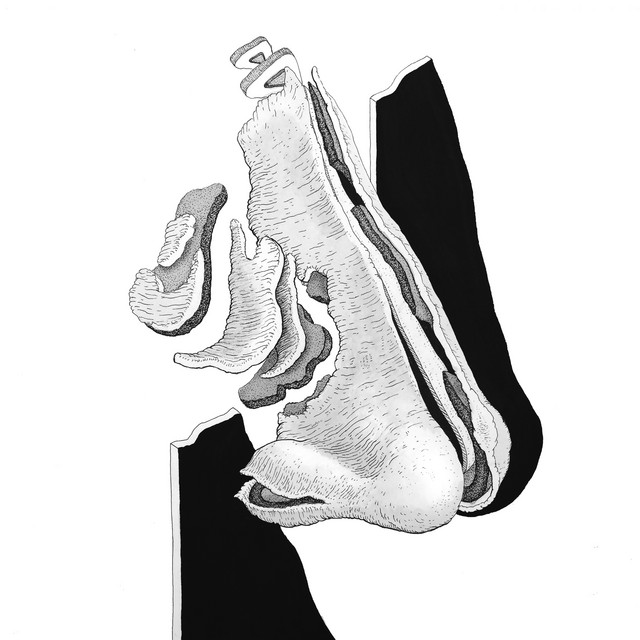 María, San José cover art