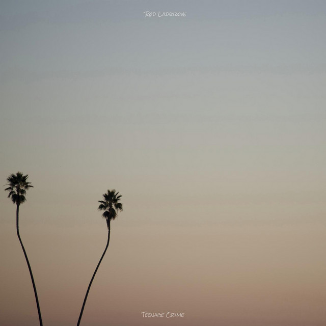 Teenage Crime cover