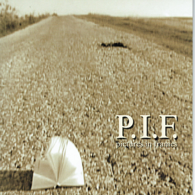 Pictures in Frames cover art