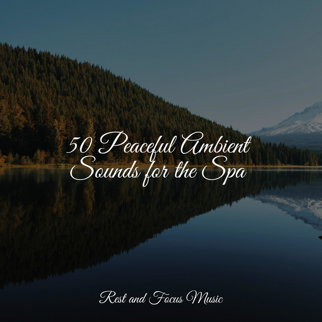 50 Peaceful Ambient Sounds for the Spa - Album by Sleep Waves | Spotify