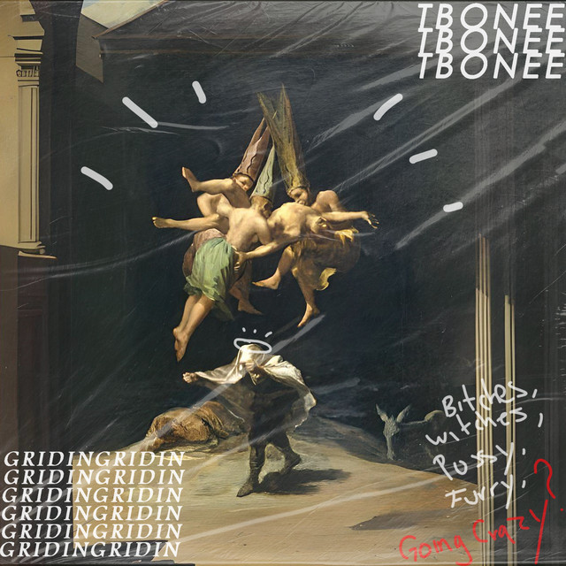 GRIDIN cover art