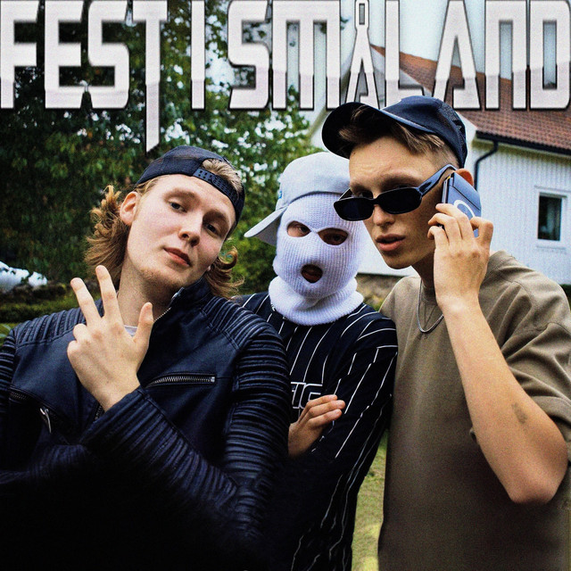 Fest i Småland cover art