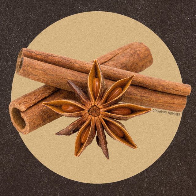 Cinnamon Summer cover art