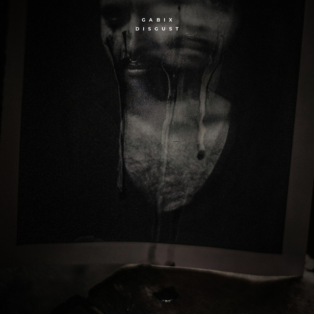 Обкладинка: Disgust — GabiX