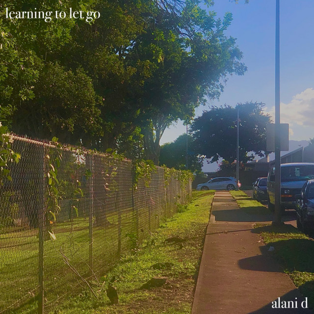 Learning to Let Go cover art