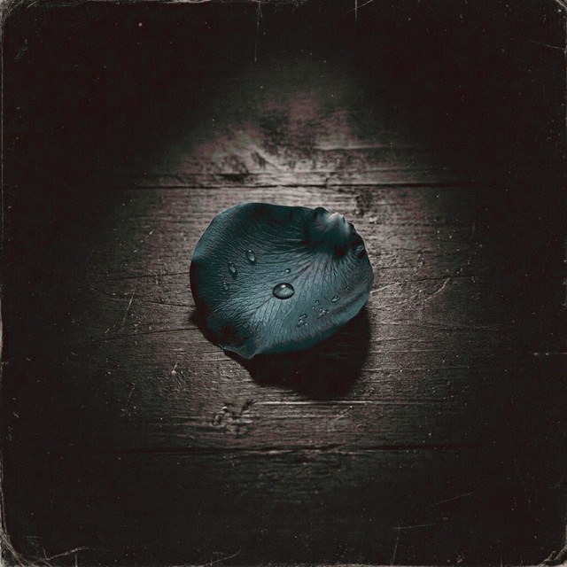 echoes of you cover art