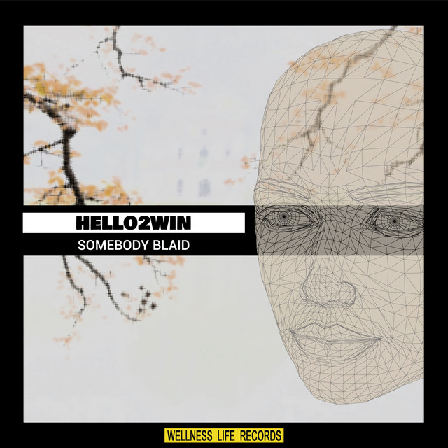 Somebody Blaid cover art