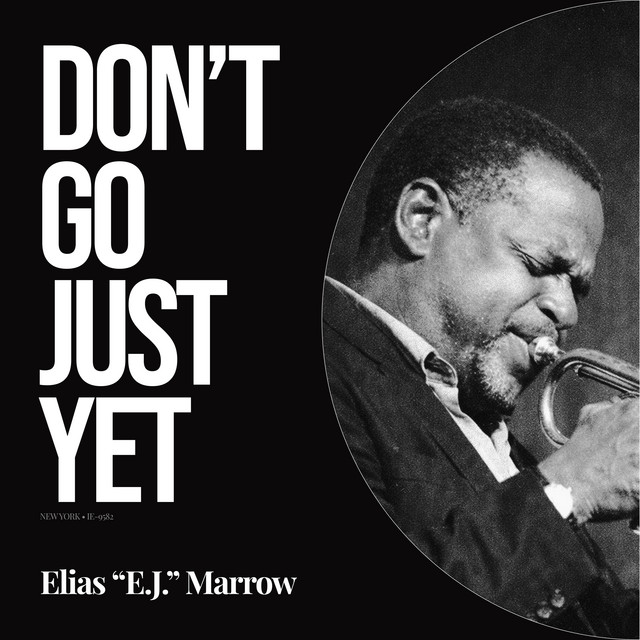 Don't Go Just Yet cover art