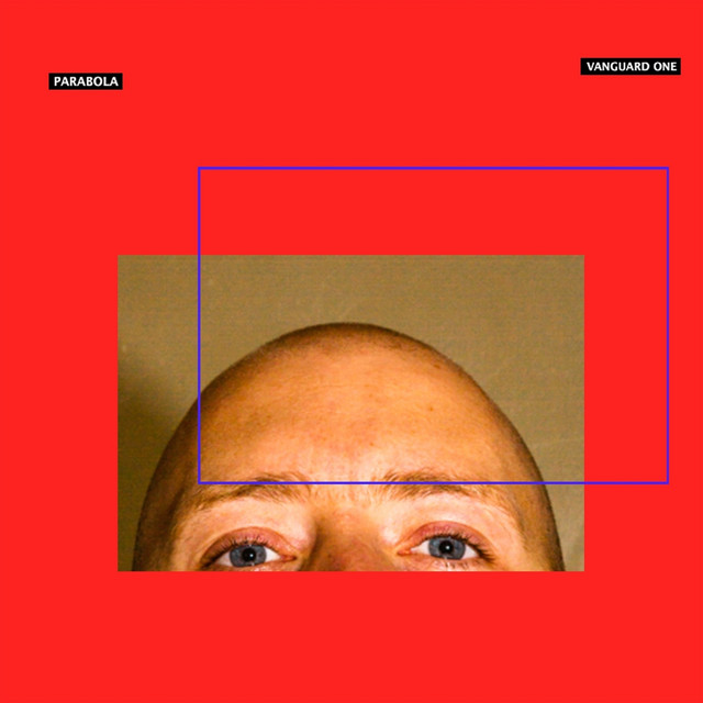 Parabola cover