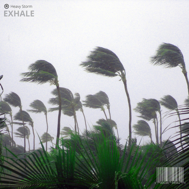 Heavy Storm cover art