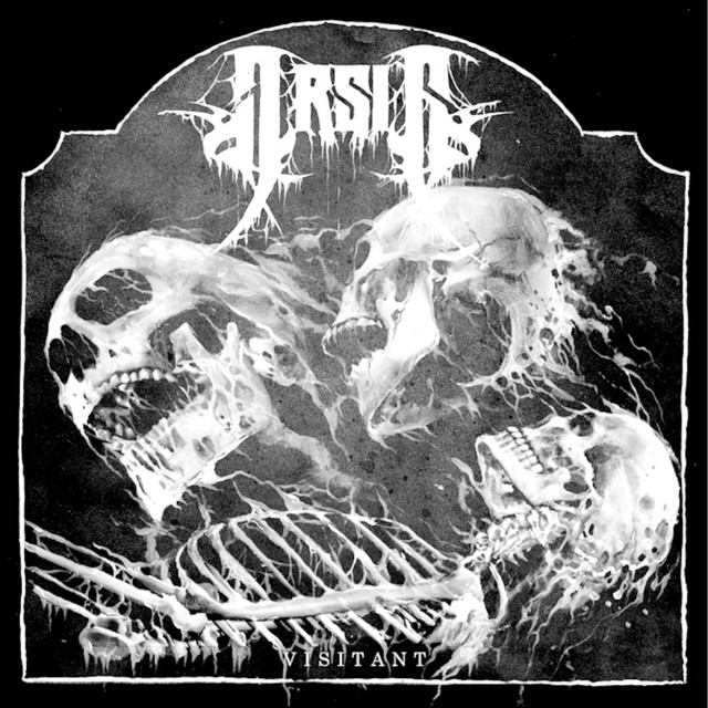 Visitant cover art