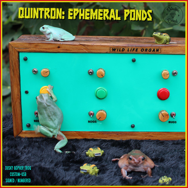 Ephemeral Ponds cover art