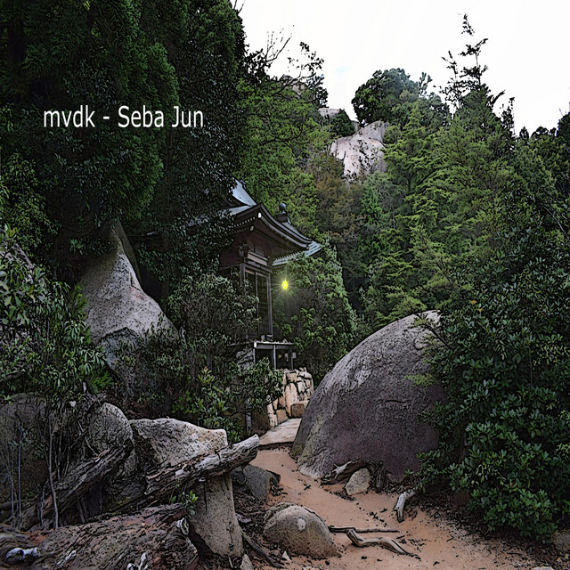 Seba Jun cover art