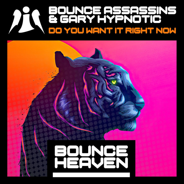 Do You Want It Right Now - Bounce Heaven edit