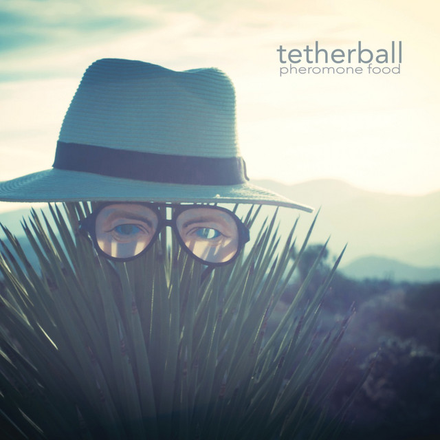 Tetherball Photo
