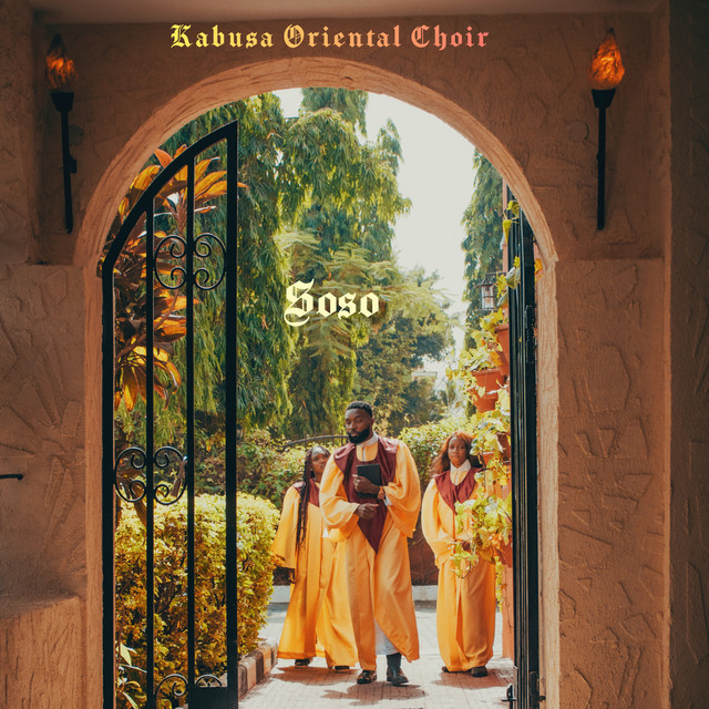 Soso cover art