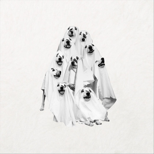 Perro Fantasma cover art