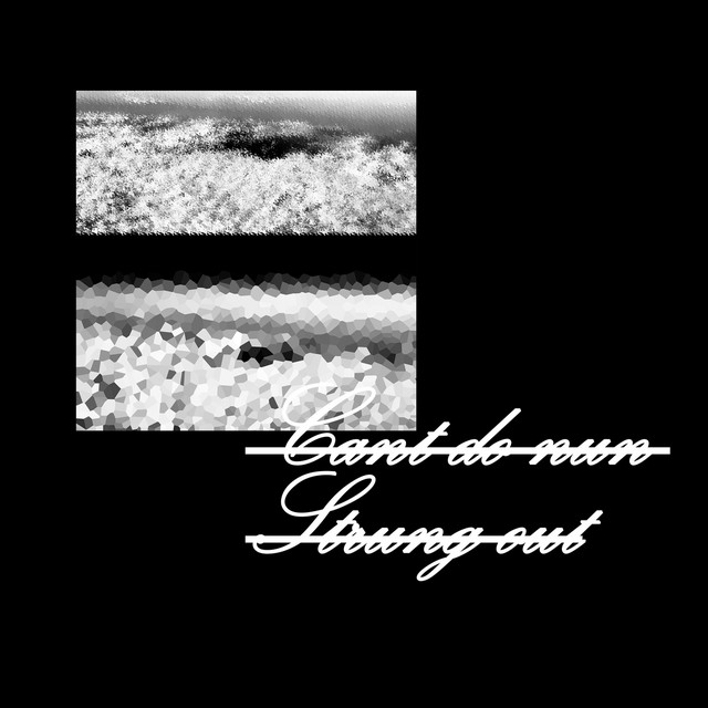 Cant do nun strung out (Stan van Dijk Remix) cover