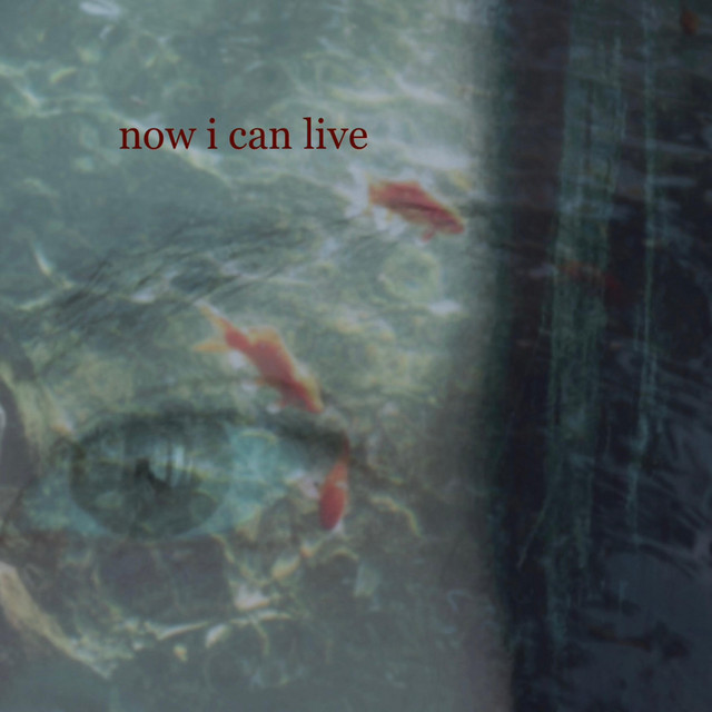 now i can live cover