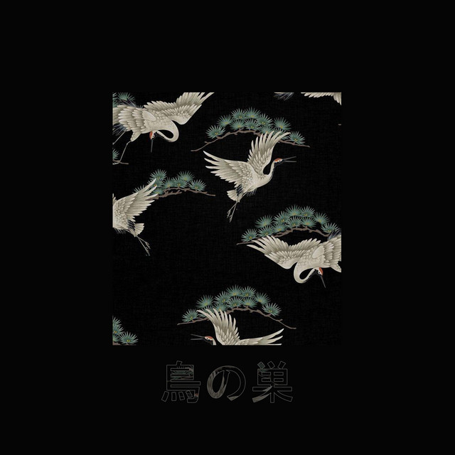 bird nest cover art