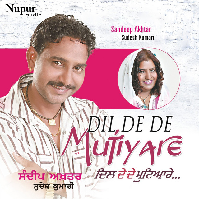 Tera Zikar Jaroor Hunda cover art