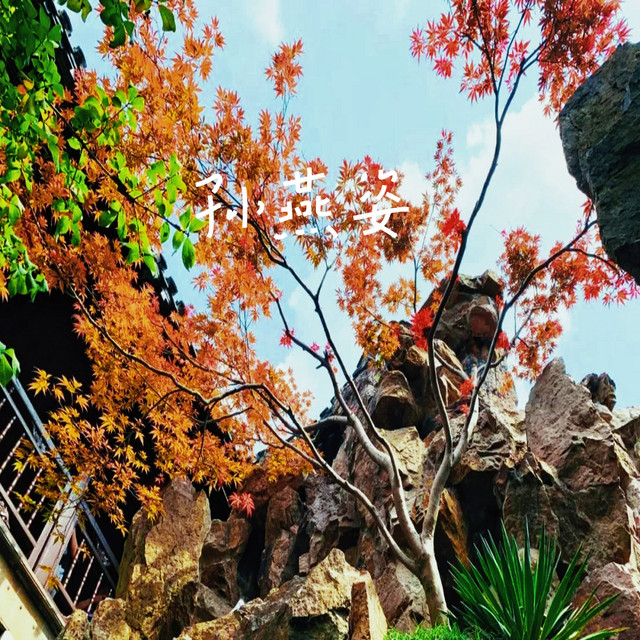 遇见 cover