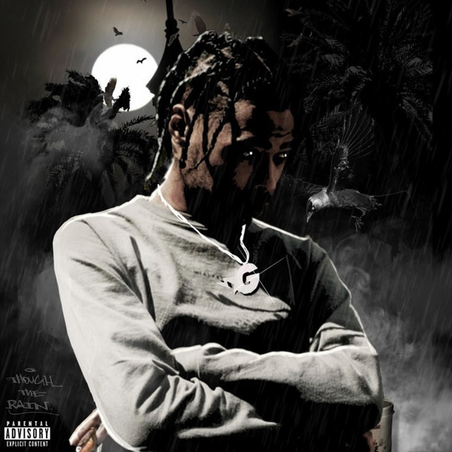 Through The Rain cover art