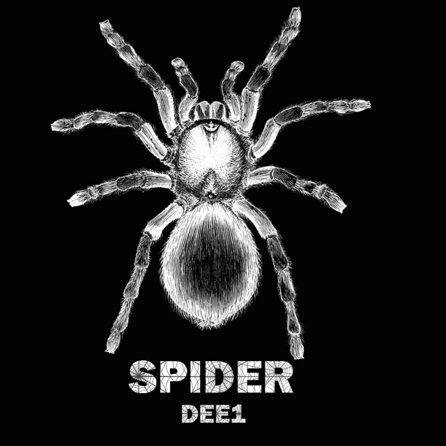 SPIDER cover art