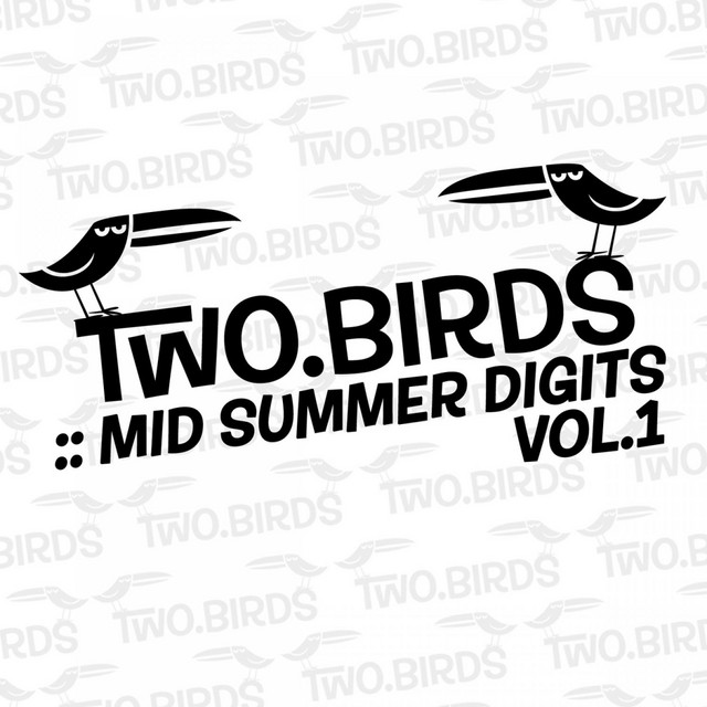 mid summer digits vol. 1 cover