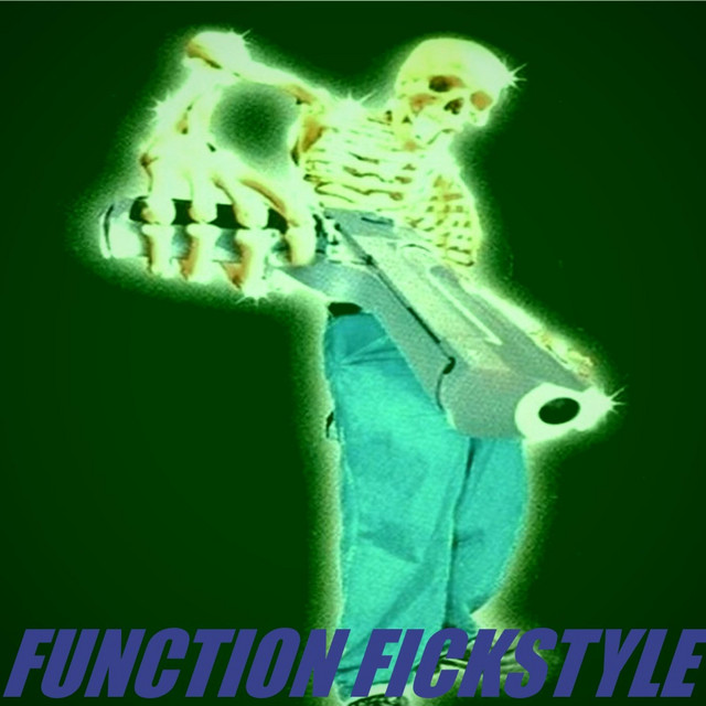 FUNCTION FICKSTYLE cover art