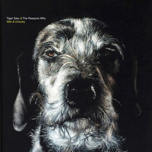 Wet & Unlucky cover art