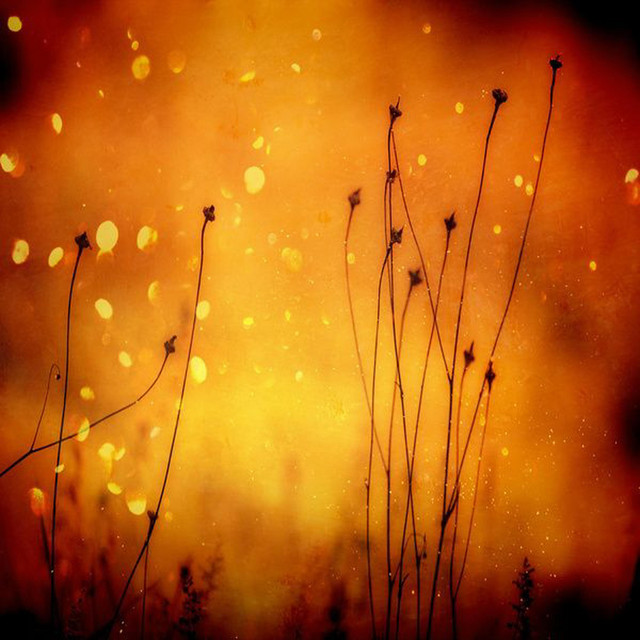 Relaxation Therapy, Calm Piano Collection with Relaxed Mind cover art