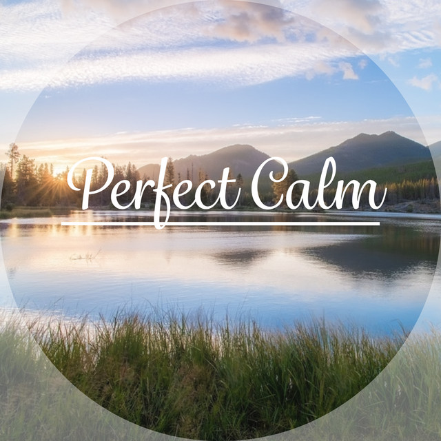 Perfect Calm – Nature Music for Yoga, Meditation, Mantra, Spa, Wellness ...