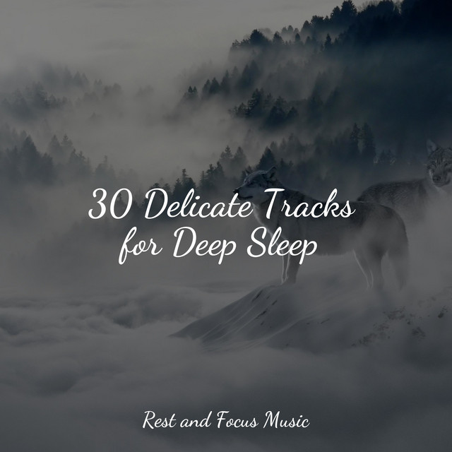 30 Delicate Tracks for Deep Sleep - Album by Spa | Spotify