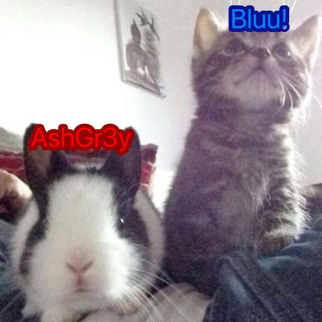 BLUUGR3Y! cover art
