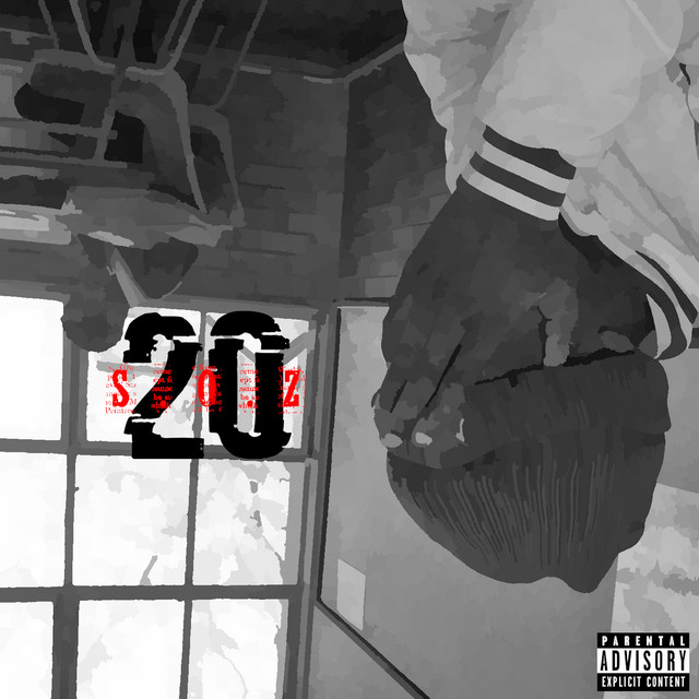 20 cover art