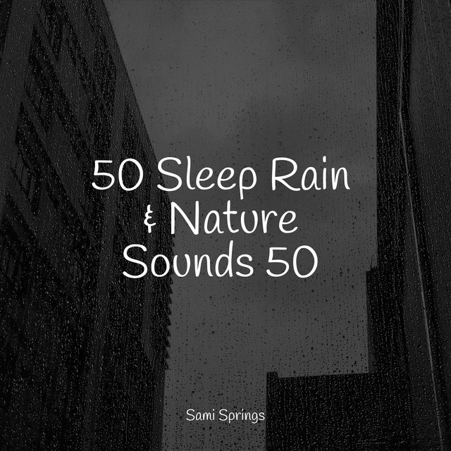 50 Sleep Rain & Nature Sounds 50 - Album by Ambient Nature White Noise ...