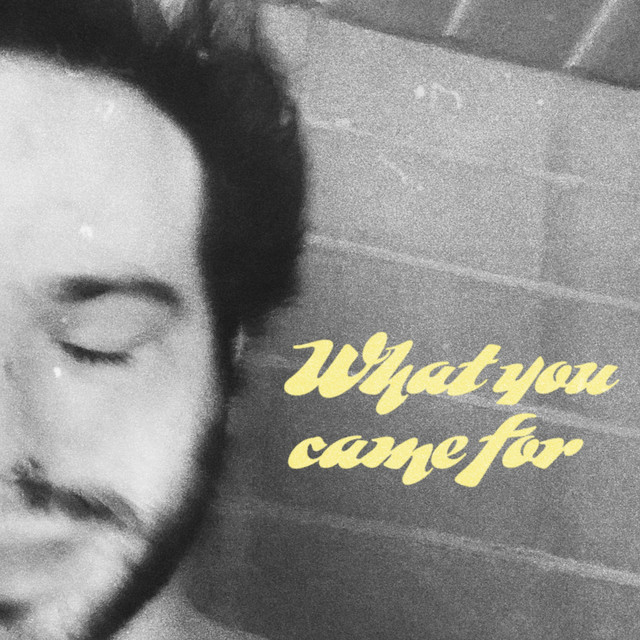 What You Came For cover art