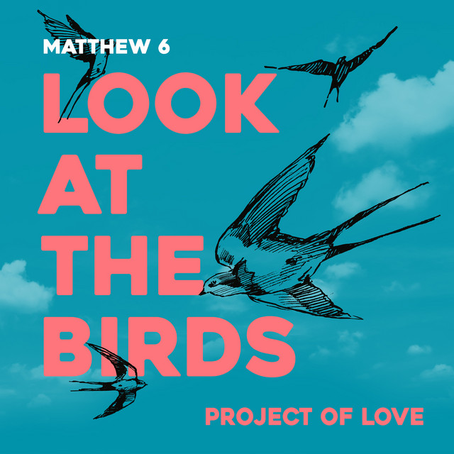 Matthew 6 - Look at the Birds