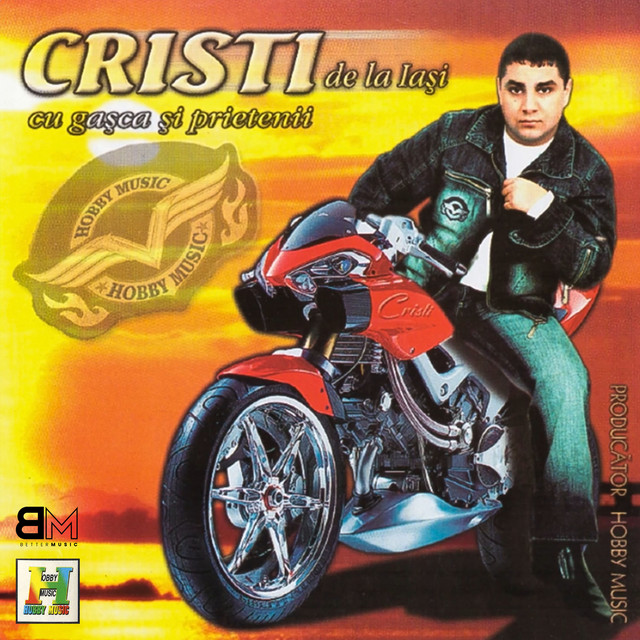 Cu gașca și prietenii cover art