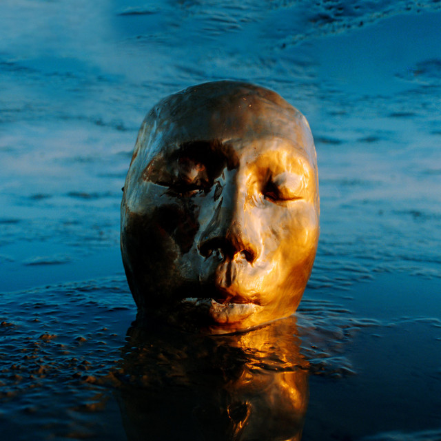 The Misfit cover art