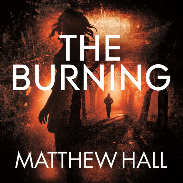 Matthew Hall: Songs list, genres, analysis and similar artists - Chosic