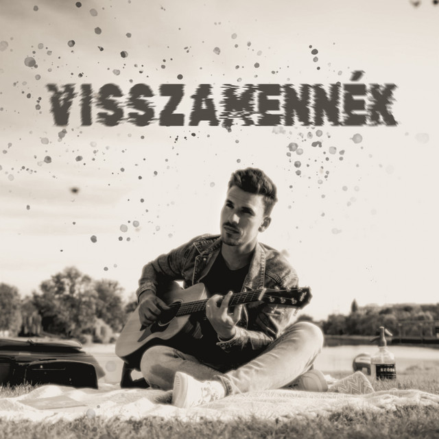Visszamennék