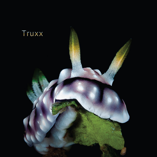 Muzan album art