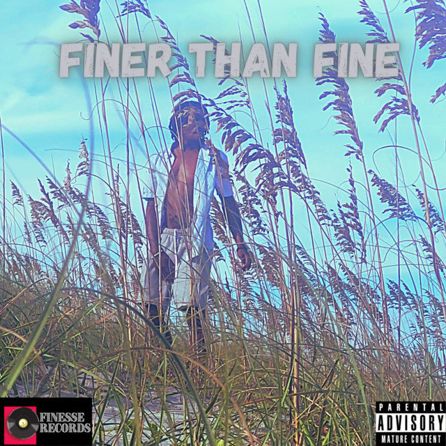 Finer Than fine cover art